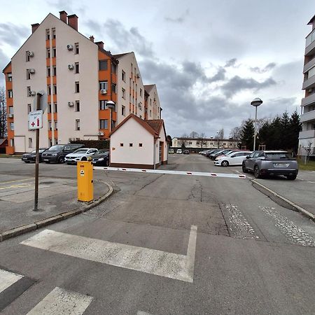 Apartma Golob Maribor Dış mekan fotoğraf